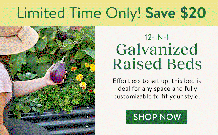 12-in-1 Galvanized Raised Bed