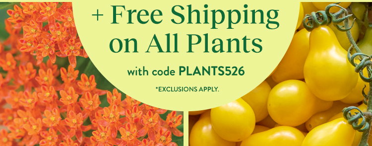 Garden Ready Plants