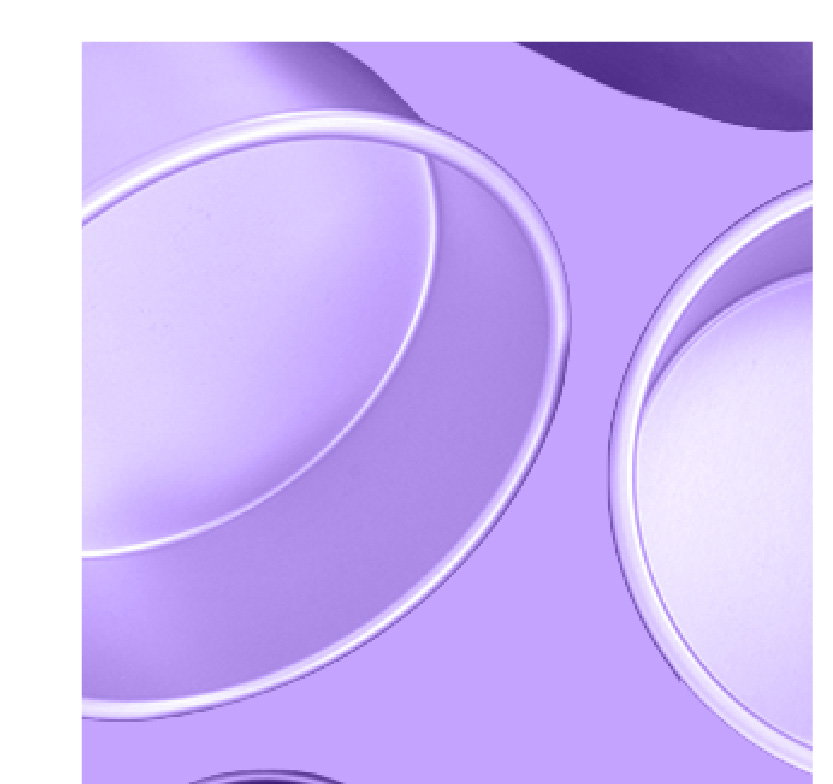 Baking Tins | Shop now