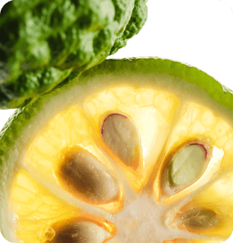 Italian Citrus Bergamot Extract