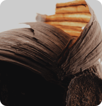 Aged Black Garlic Extract