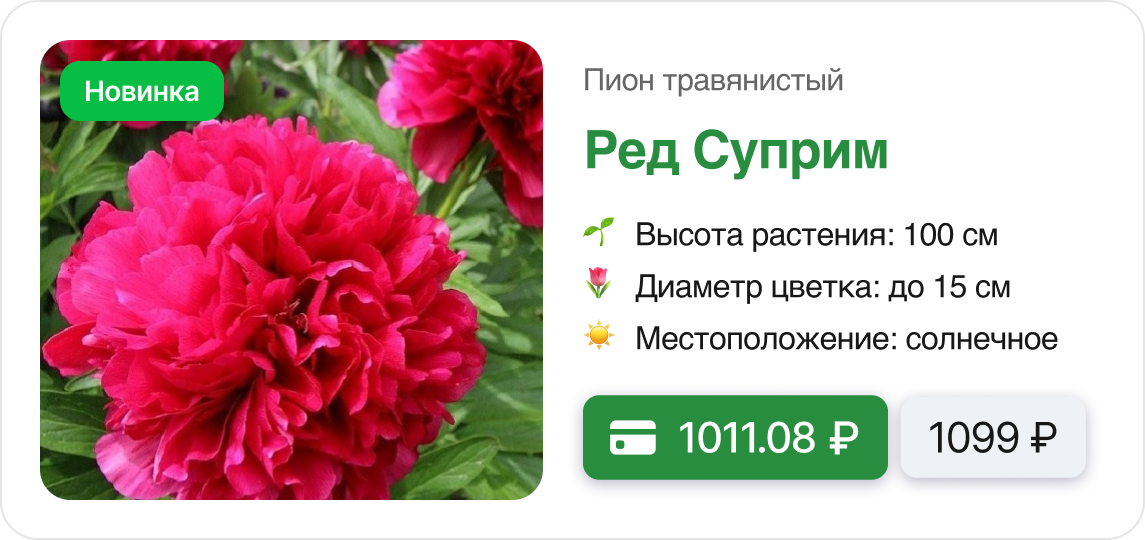 Скидки и Подарки.png