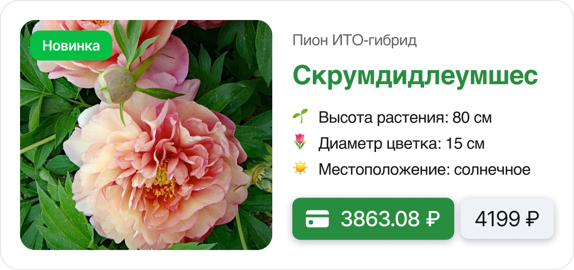 Скидки и Подарки.png
