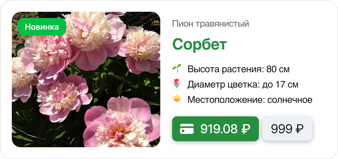 Скидки и Подарки.png
