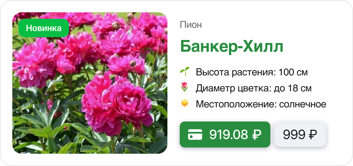 Скидки и Подарки.png