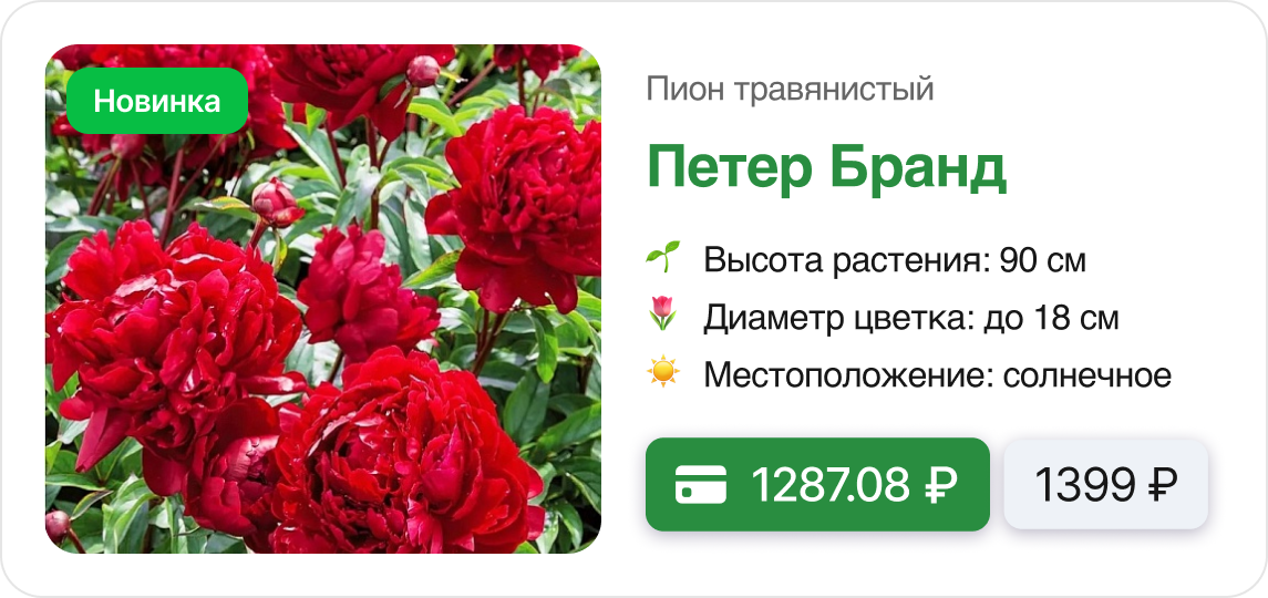 Скидки и Подарки.png