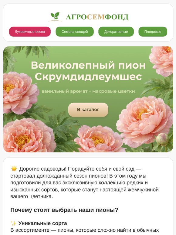 🌸  💥 Сезон пионов: успейте заказать самые редкие сорта! 💥 💥 Пион ИТО-гибрид Скрумдидлеумшес🤑 💥