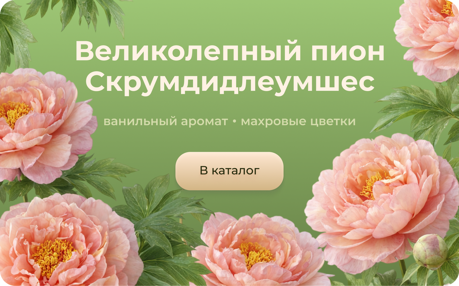 Frame 1367935284.png