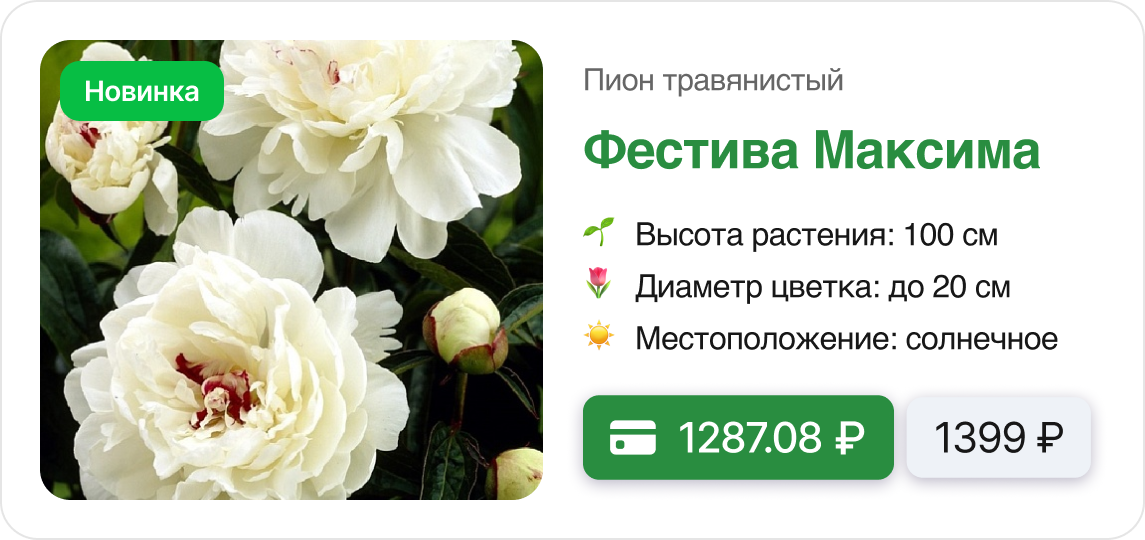 Скидки и Подарки.png