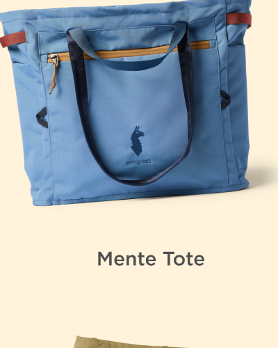 Mente 22L Tote