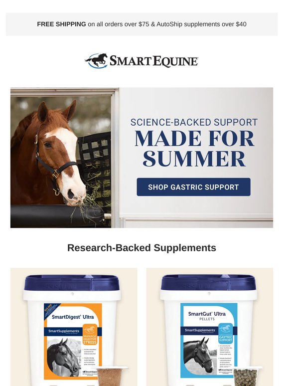 Gastric Support for Spring Demands