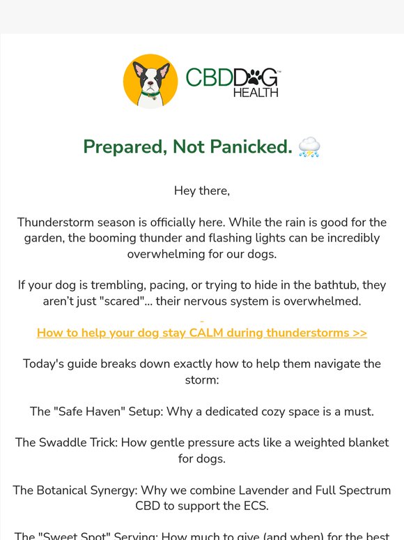 Is your dog "Storm Ready"? ⛈️