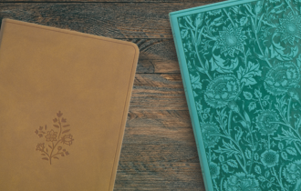 Gift Bibles