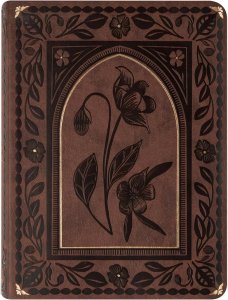 ESV Journaling Bible: Palma Theme