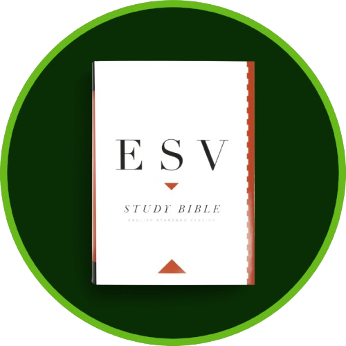 Bestselling Bibles