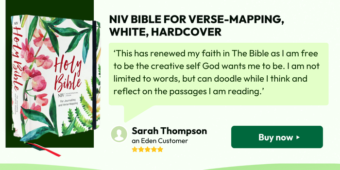 Review of NIV Bible for Verse-Mapping