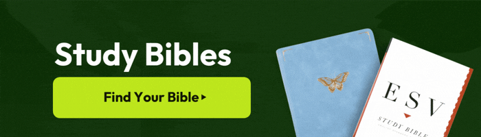 Bestselling Study Bibles