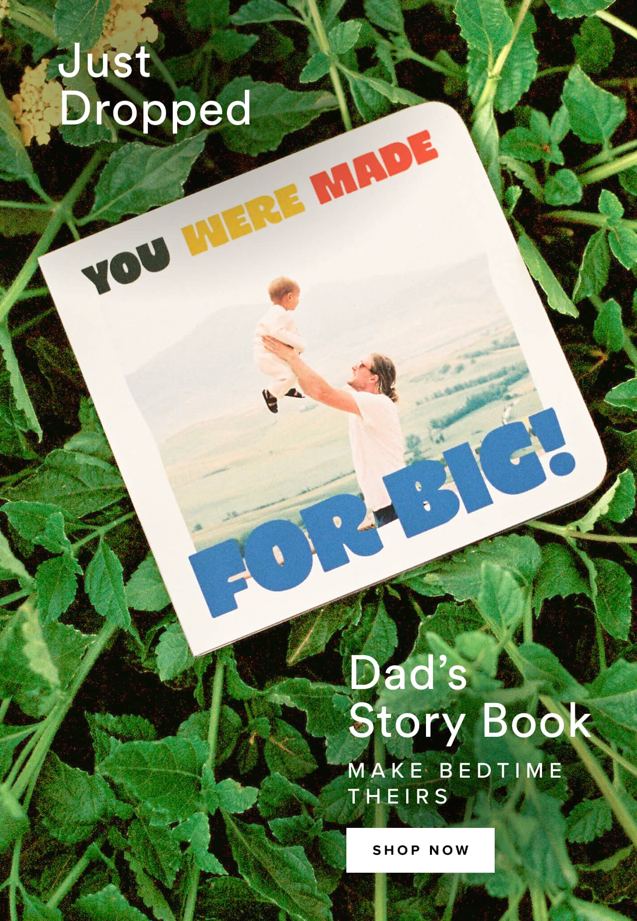 Just dropped, Dad's Story Book