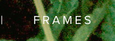 FRAMES