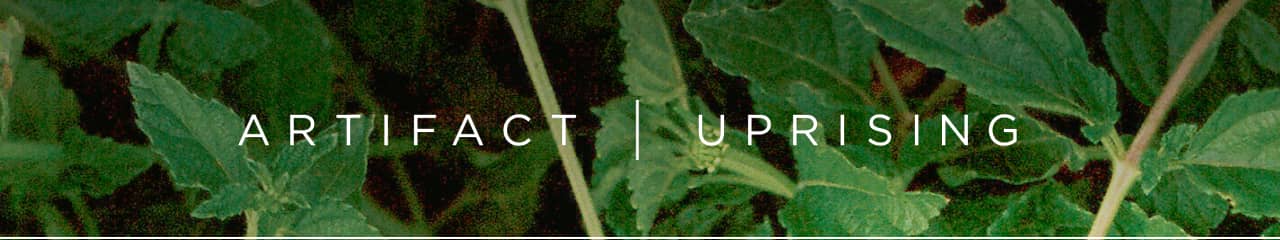 Artifact Uprising 