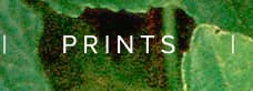 PRINTS