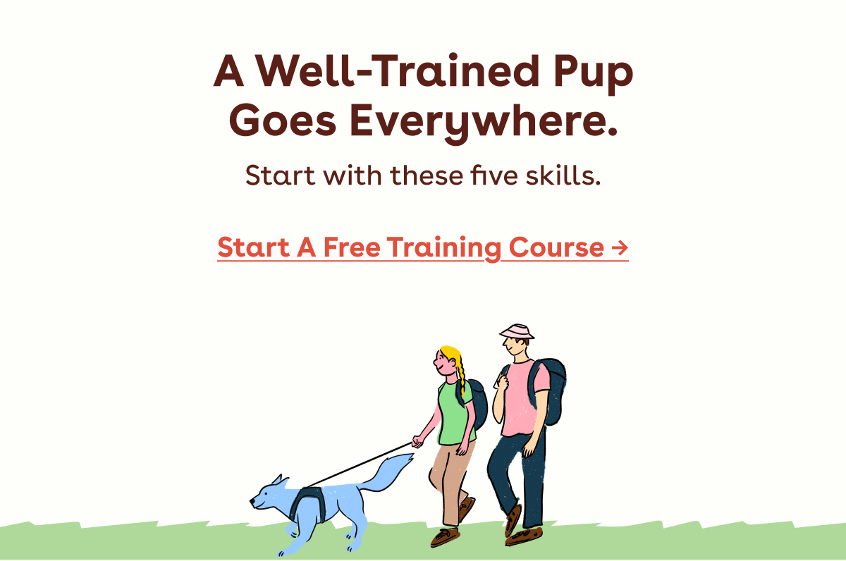 Start a free training course 