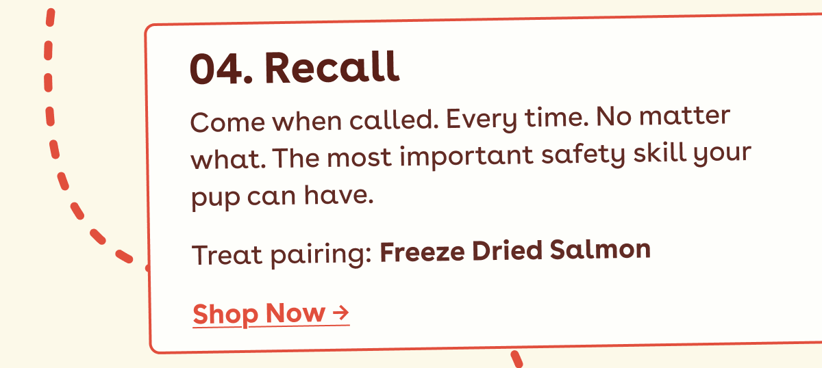 Freeze dried salmon 