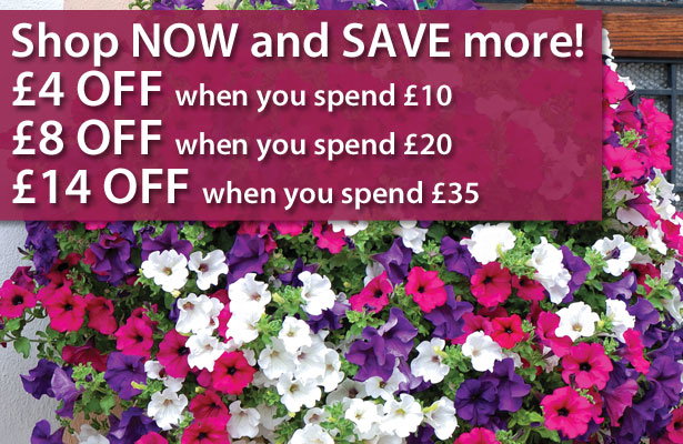 Up to £14 OFF