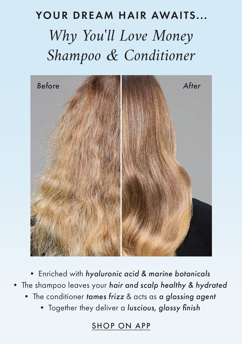 YOUR DREAM HAIR AWAITS... Why You'll Love Money Shampoo & Conditioner