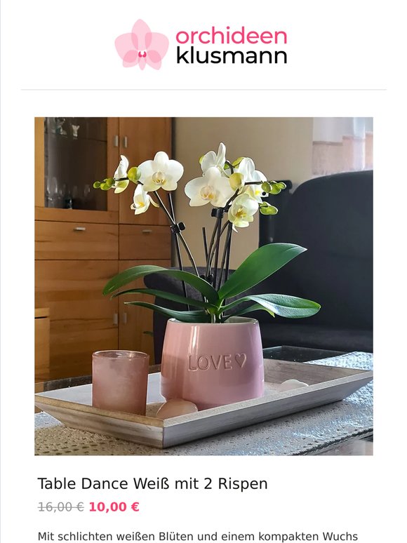 🌸 Blütenfreude für Dein Zuhause