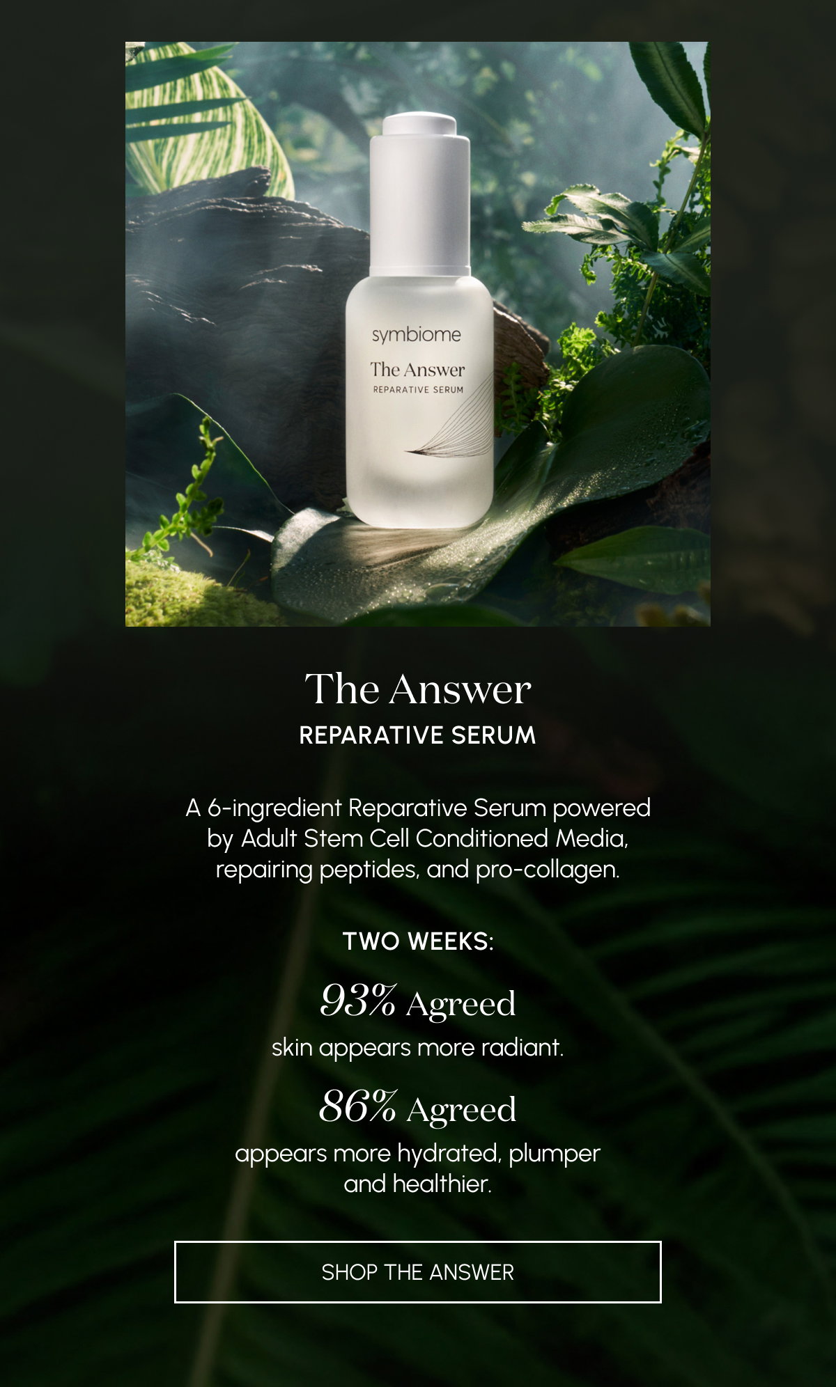 Shop The Answer