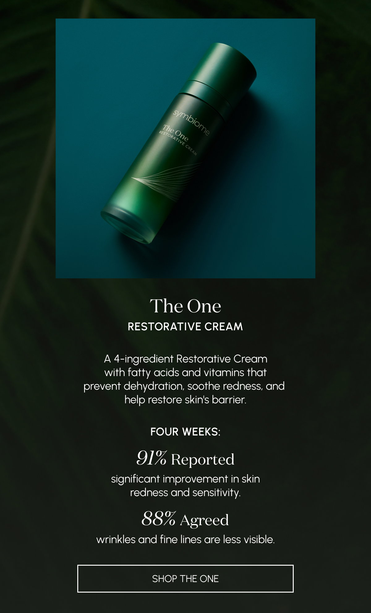 Shop The One
