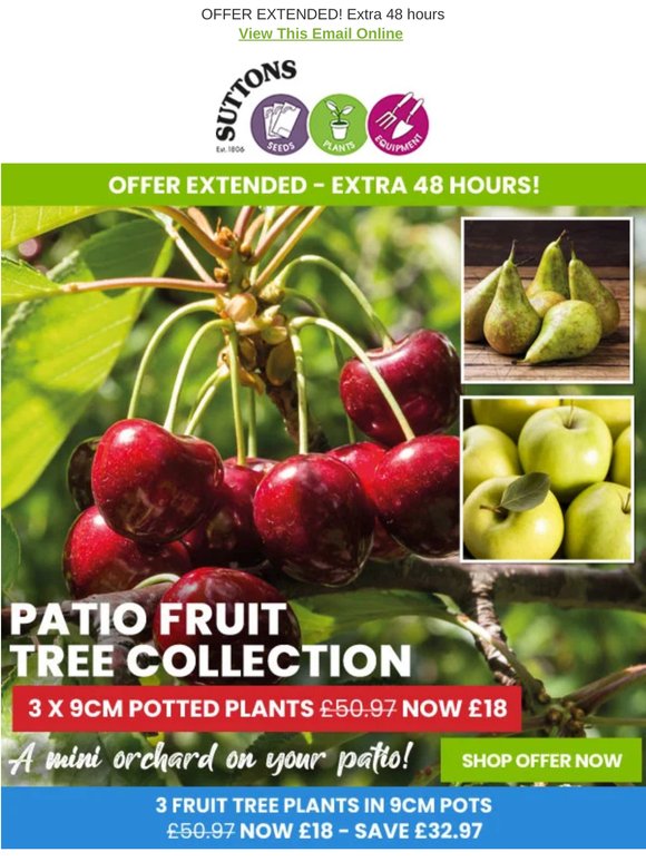 Patio Apple, Pear & Cherry Trees now £6 each!