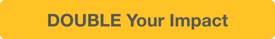 DOUBLE Your Impact