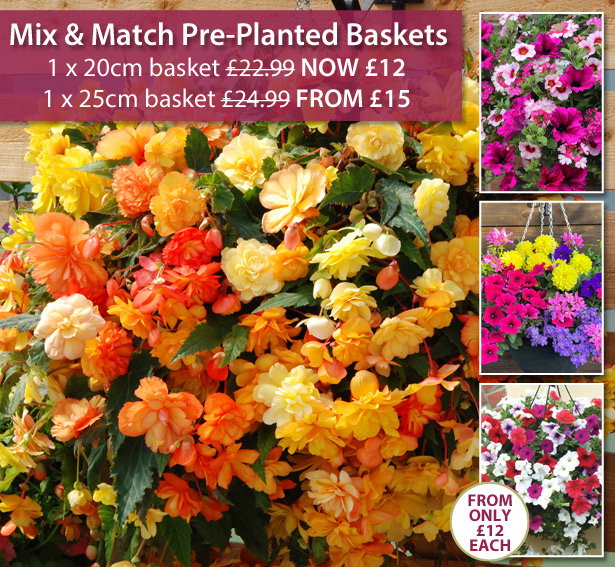 Mix & Match Baskets