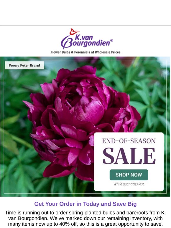 Save up to 40% on Dozens of Items for Spring Planting