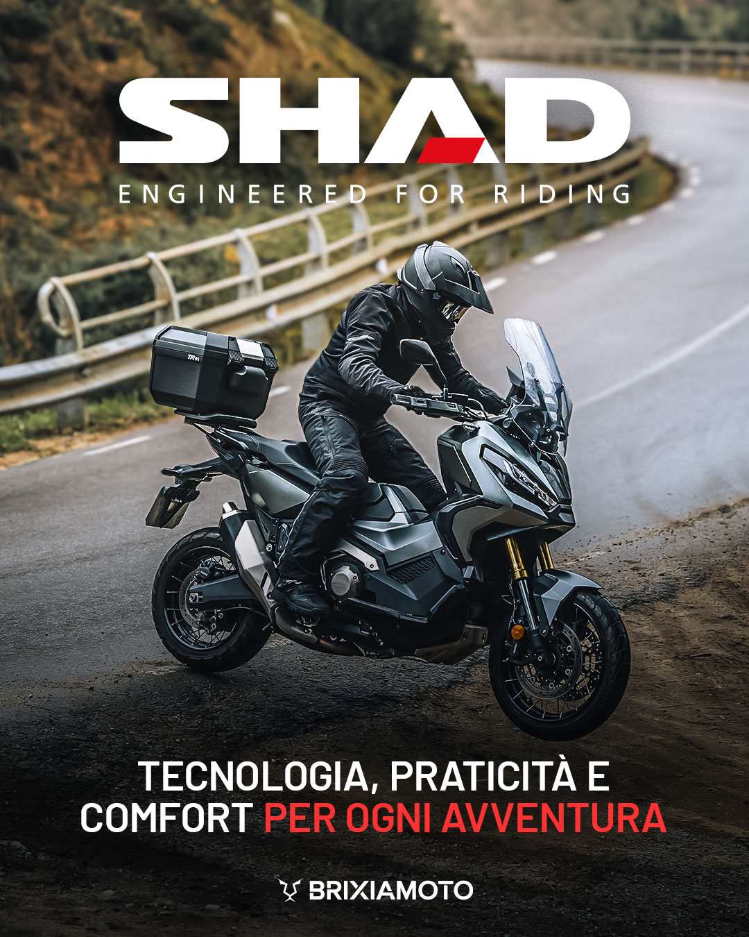 BRIXIAMOTO.COM - SHAD