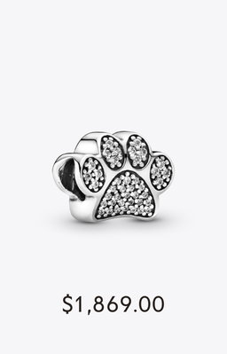 Clear Pavé Clip Charm