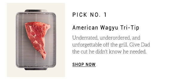American Wagu Tri Tip 