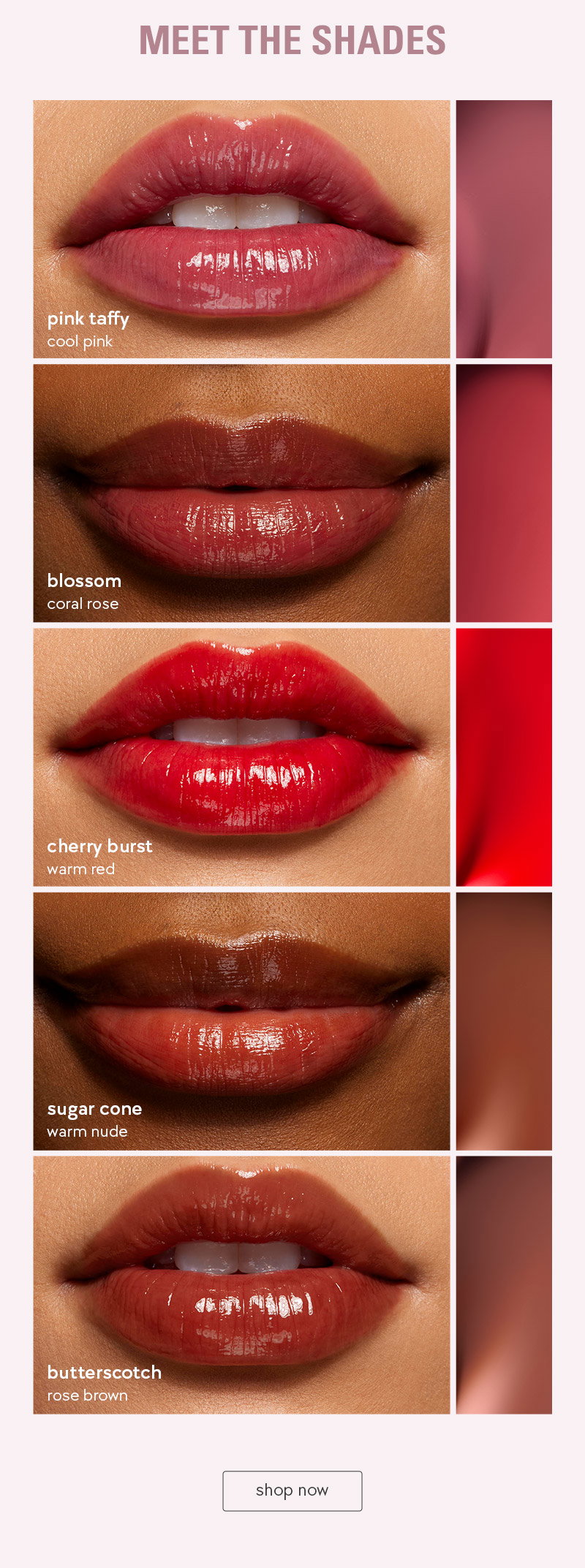 meet the shades