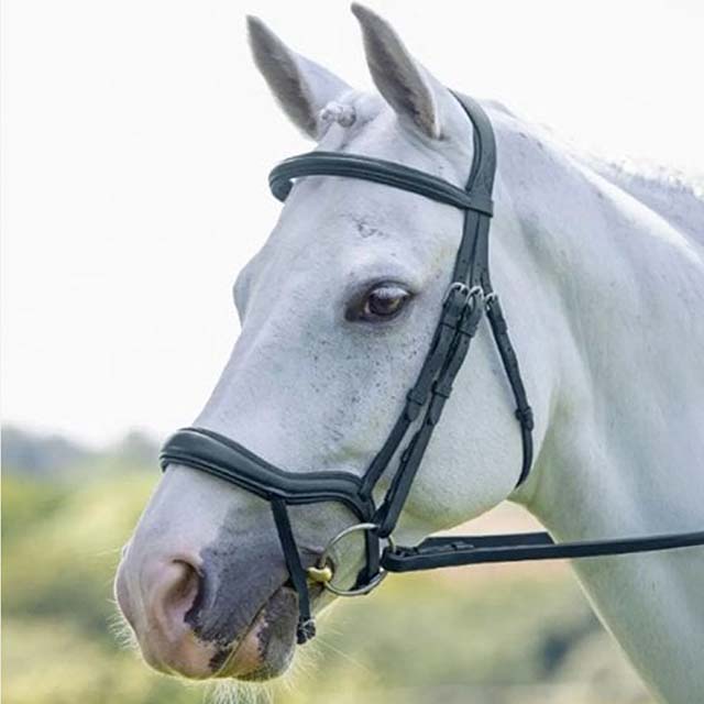 Velociti Ergonomic Flash Bridle Black