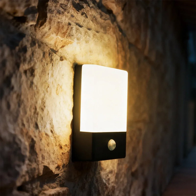 Security Light