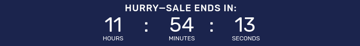 Countdown timer for Night Owl Sale.