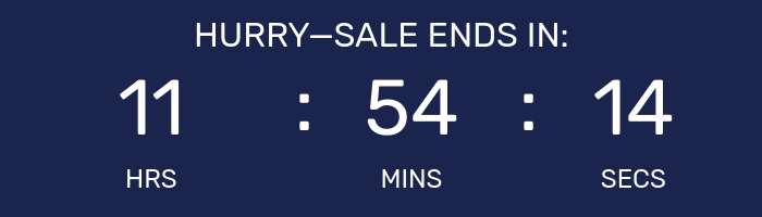 Countdown timer for Night Owl Sale.
