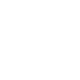 USP Icon 2