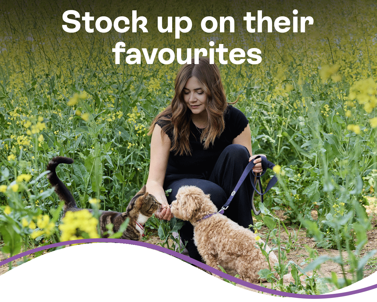 Stock up on their favourites