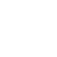 USP Icon 4
