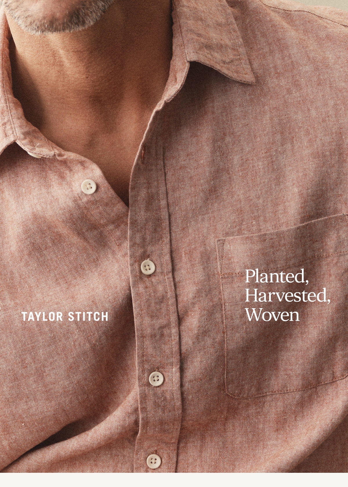 Taylor Stitch. Planted, Harvested, Woven. 