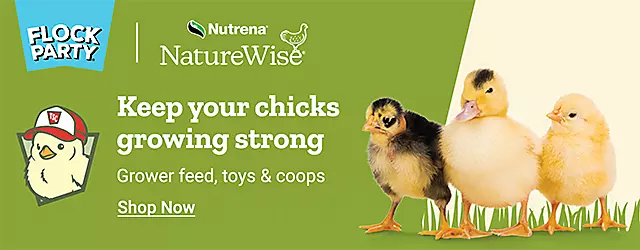 RMN Spring Chick Days