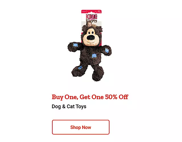 Dog & Cat Toys